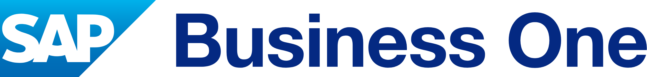 SAP Business One